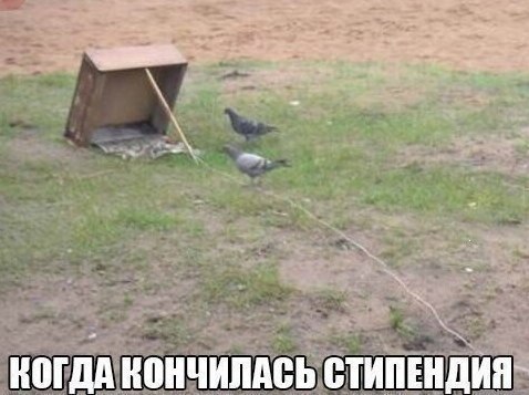    :D - 20  2014  13:29