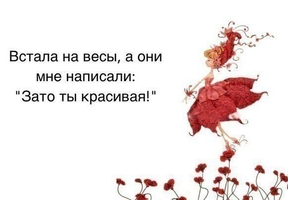    |   - 27  2014  18:28