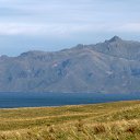 ���� ������, ������, 71 ��� - ��������� 15 �������� 2014 � ������ ��� ������