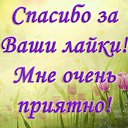 ���� �����, ����������, 65 ��� - ��������� 25 ������ 2014 � ������ ���� ����������