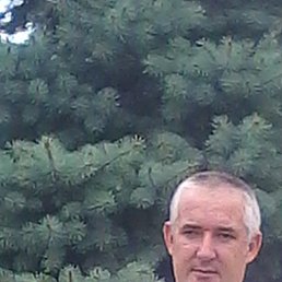 �������, ���������, 54 ����