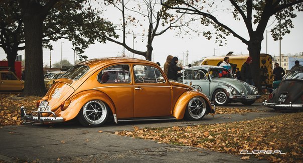 VW Beetle. - 2