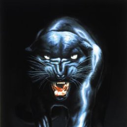 ���� �������, ���� - ��������� 23 ������ 2014