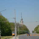  , --, 44  -  26  2014    