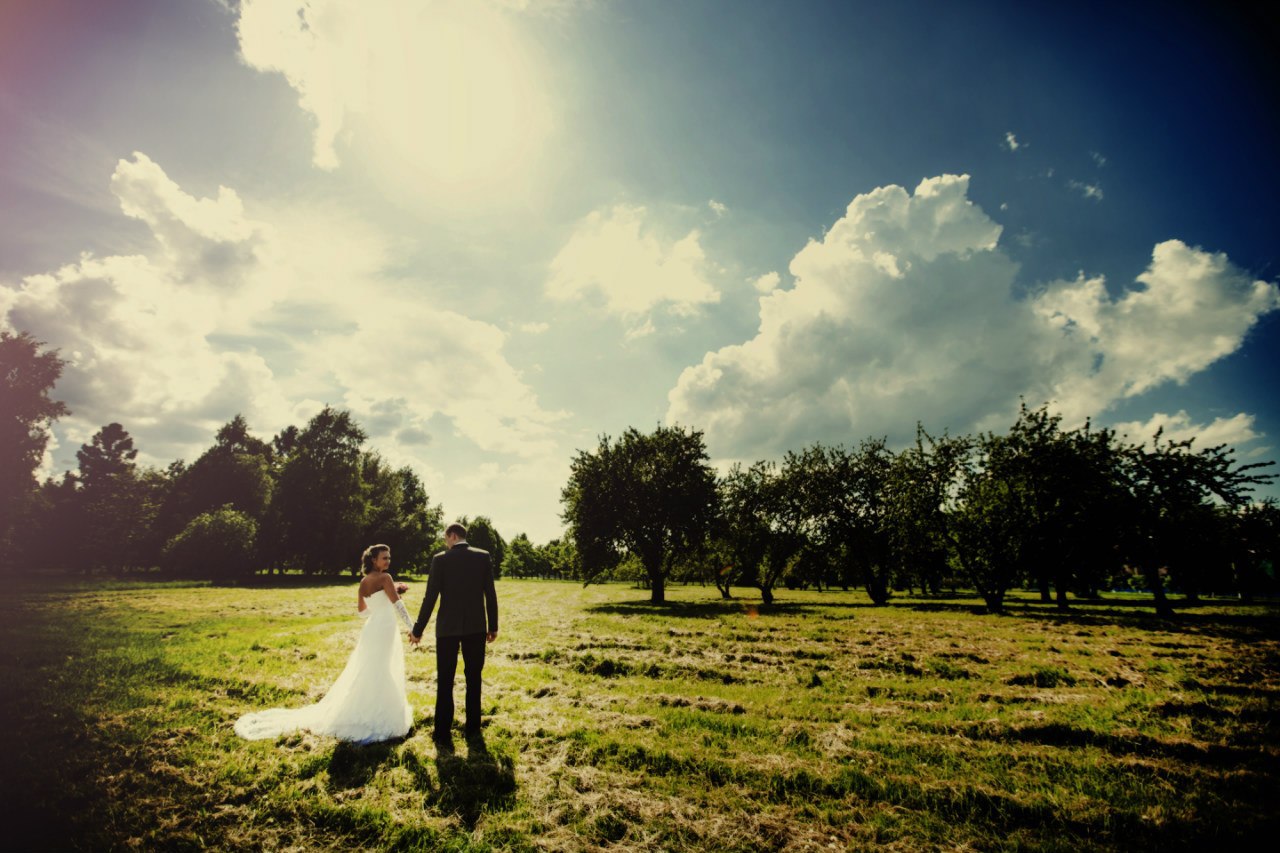 ������� - 17 ������ 2014 � 14:41