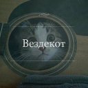 ���� Ginger, ������� - ��������� 25 ������� 2014 � ������ ������ ��������