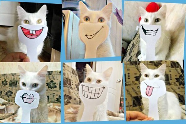 ��� ���� � ����� �� �� - 27 �������� 2014 � 22:12