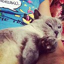 ���� Natasha, ���� - ��������� 5 ������� 2014 � ������ ������ ��������