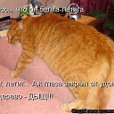 ���� �������, �����������, 32 ���� - ��������� 1 ������ 2014 � ������ ������ ��������