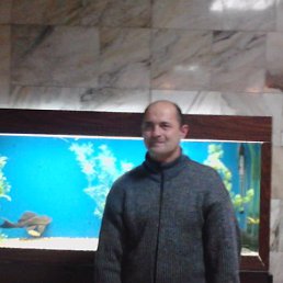 ������, �������, 54 ����