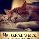 ���� O.l., �����, 59 ��� - ��������� 7 ������� 2014 � ������ �������