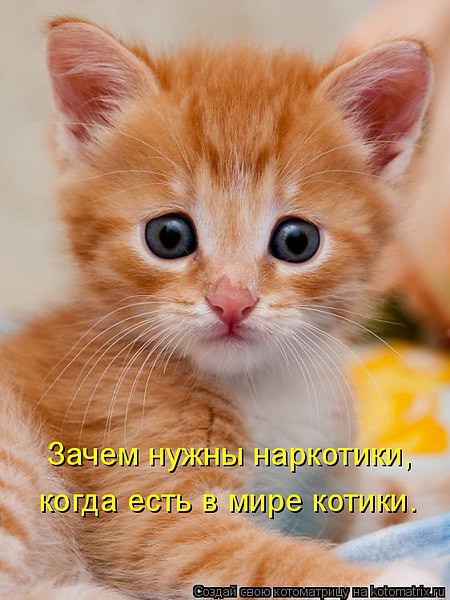 •°https://fotostrana.ru/away?to=/sl/68D2 - 23  2014  20:55