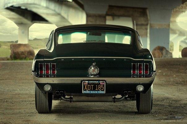 1968 Ford Mustang Cobra Jet - 2