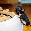 ���� Nicol, ������ - ��������� 30 ������� 2014 � ������ ���� ����������