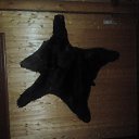 ���� �������, ������ ������� - ��������� 28 ������ 2014 � ������ ��