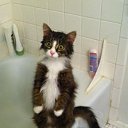 ���� ����������, ������, 49 ��� - ��������� 22 �������� 2014 � ������ ������ ��������