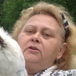 ������, �����, 71 ���