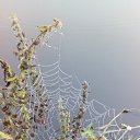  , -, 41  -  21  2014    