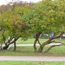 ���� ����c�, ���������� - ��������� 20 ������� 2014 � ������ �C����-���������