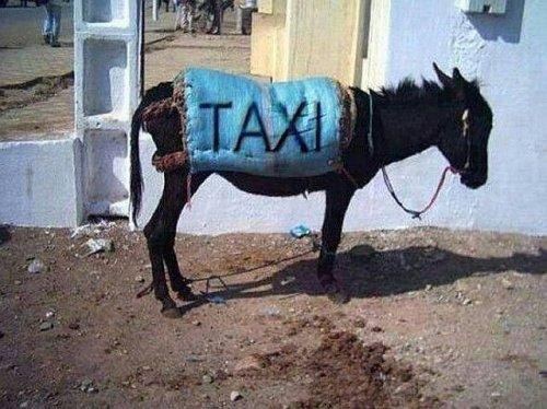 �������������� �� ���: <a href=