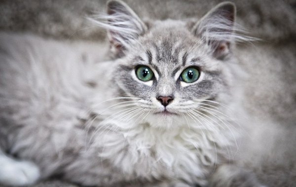 ����� ������� - 9 ������� 2014 � 16:46