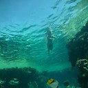 ���� ������, ������ - ��������� 6 ������� 2014 � ������ ������ ��������