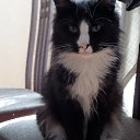 ���� �����, �������, 60 ��� - ��������� 10 ������� 2014