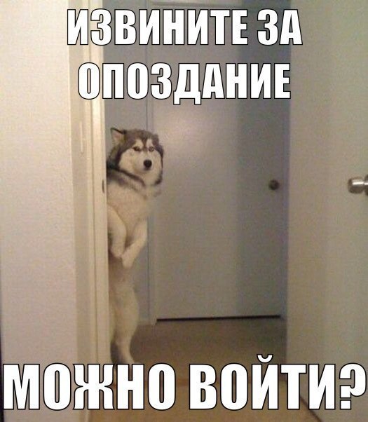 ������� - 24 �������� 2014 � 14:13