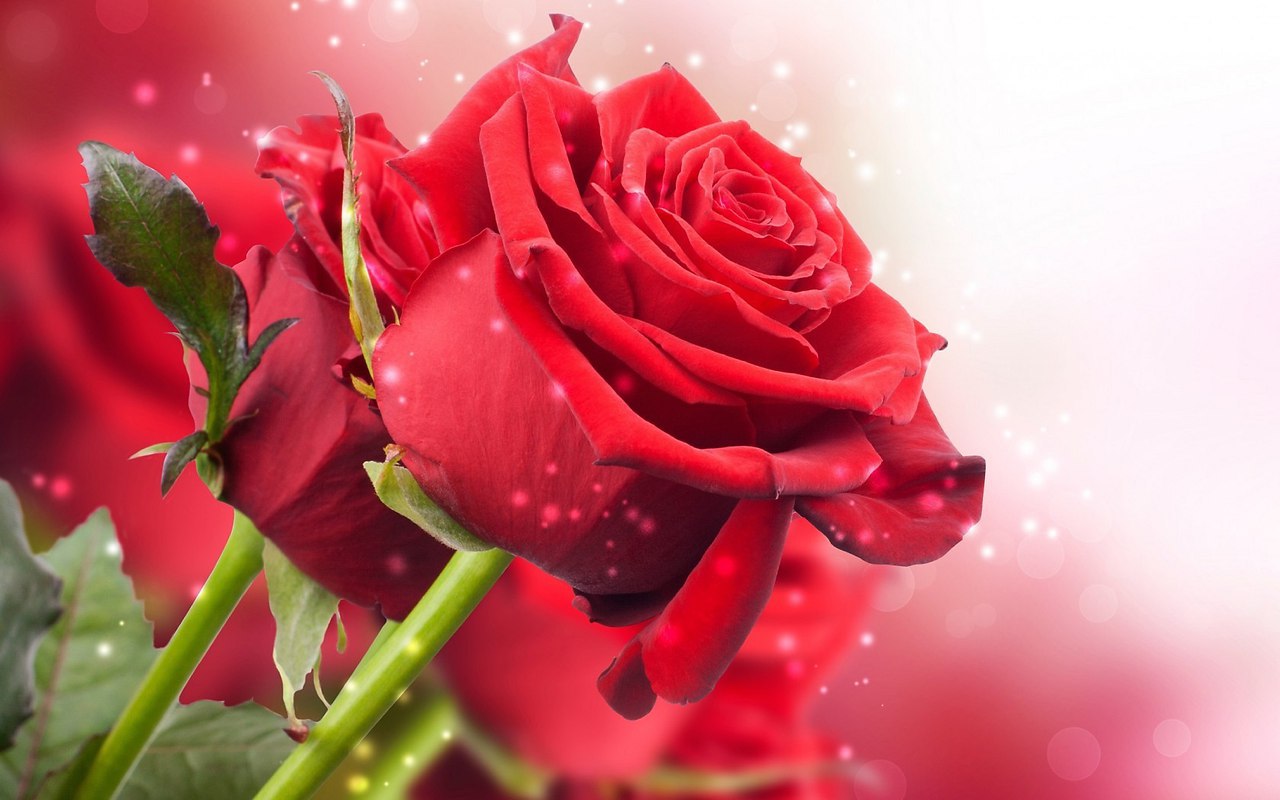 ���� - 25 ������ 2014 � 23:31
