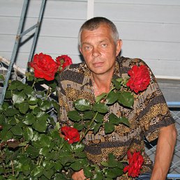  Vladimir Girchev, , 54  -  2  2014