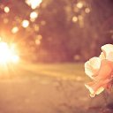 ���� �������, �����-���������, 60 ��� - ��������� 19 �������� 2014 � ������ ������ ��������