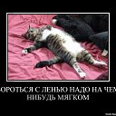 ���� ����������, ���� - ��������� 6 ������ 2014 � ������ ������ ��������