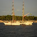 ���� �����, �����-���������, 46 ��� - ��������� 18 �������� 2014 � ������ ���� ����������