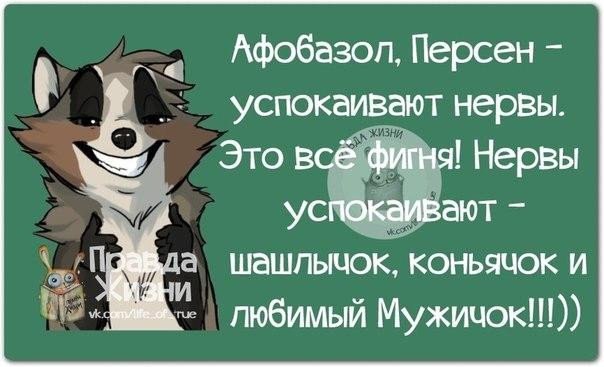 ...������ ���� ���������