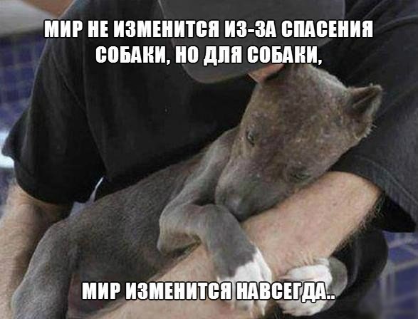   - ! - 16  2014  10:51