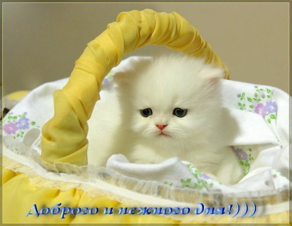 ~Dasha~ - 20 ������ 2014 � 14:25