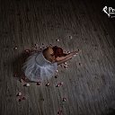���� ���������, �����-���������, 44 ���� - ��������� 22 �������� 2014 � ������ ���� �������