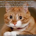 ���� �����, �������-���������, 64 ���� - ��������� 20 �������� 2014 � ������ ���� ����������