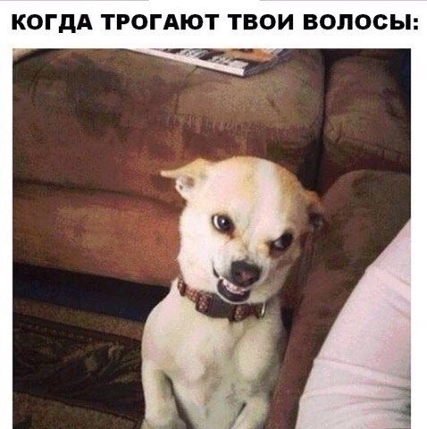 ������� ����� ����� :-) - 26 ������ 2014 � 03:21