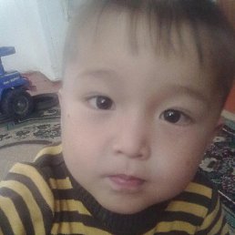 �����, ������, 49 ���