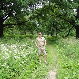 �������, ������, 54 ����