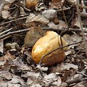 ���� ������ ���������, �����, 68 ��� - ��������� 2 ������� 2014 � ������ ���� ����������