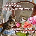 ���� �����, ������ - ��������� 3 �������� 2014 � ������ ������ ��������