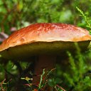 ���� �����, �����-��������� - ��������� 28 ������� 2014 � ������ �������� ����� 2014�