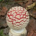 ���� Ser�ga ????????, �����-��������� - ��������� 14 �������� 2014 � ������ ���� ����������