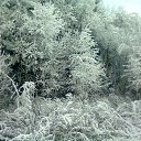 ���� �������, ����� - ��������� 3 ������� 2014 � ������ ������ 29-30.11.2014�