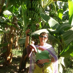 ������, ����������, 70 ���