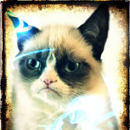 ��������, ��������, 23 ����