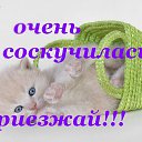 ���� �������, �������-����� - ��������� 2 �������� 2014 � ������ ���� ����������