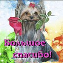 ���� ����, ����������, 72 ���� - ��������� 8 ������� 2014 � ������ ������ ��������